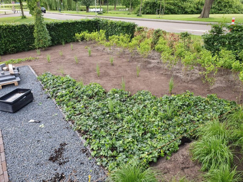 Gemak van onderhoudsvriendelijk groen